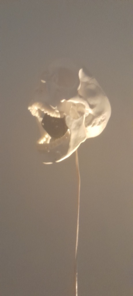 20230205_152250