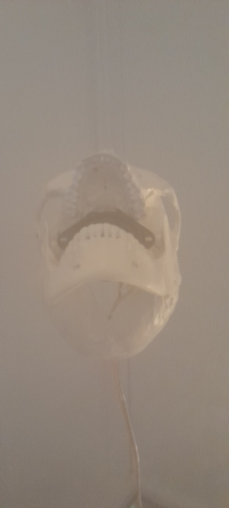 20230205_152307