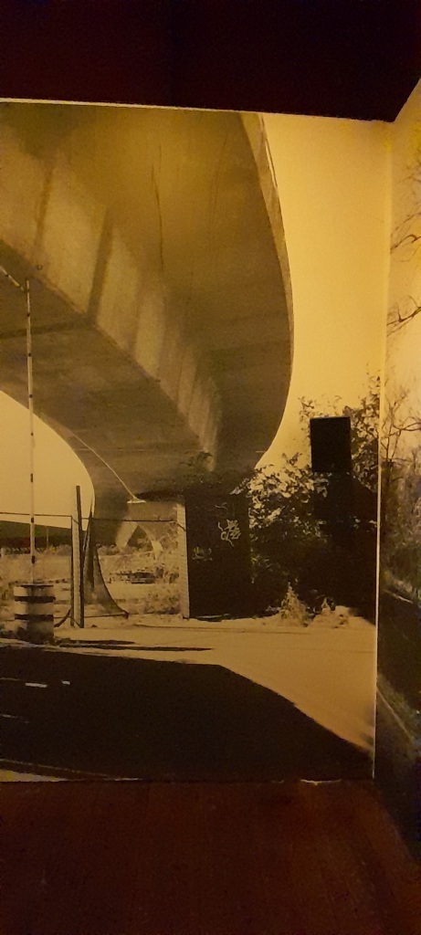 20230205_154059
