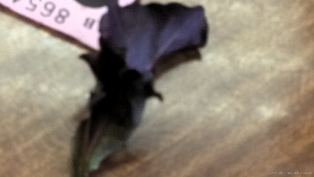 2015-06-13 13.07.26