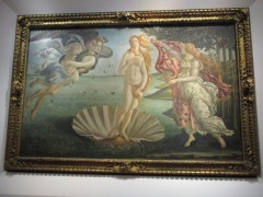 IMG_0633