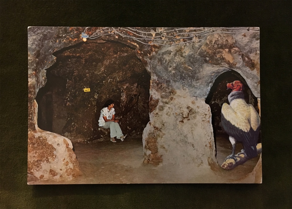 Anna-Brownsted-Collage-1-with-vulture-