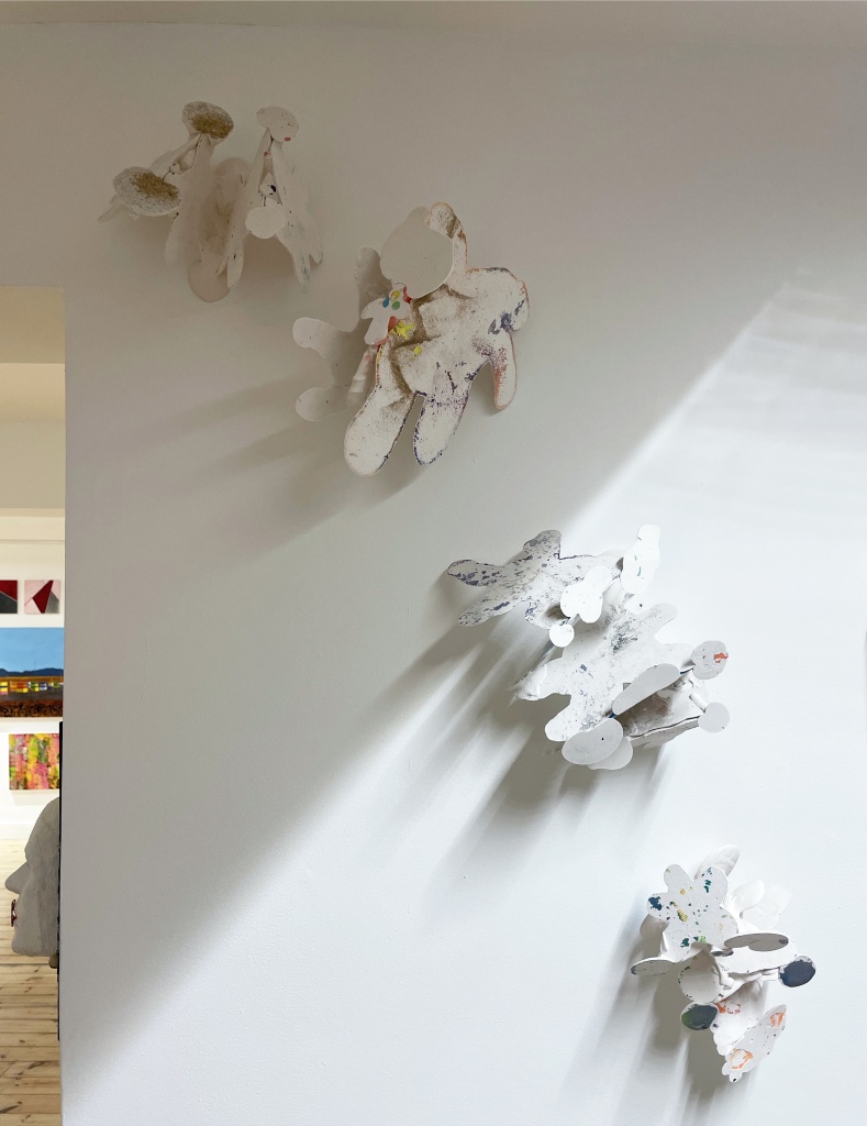 Anna-Fairchild-Cluster-