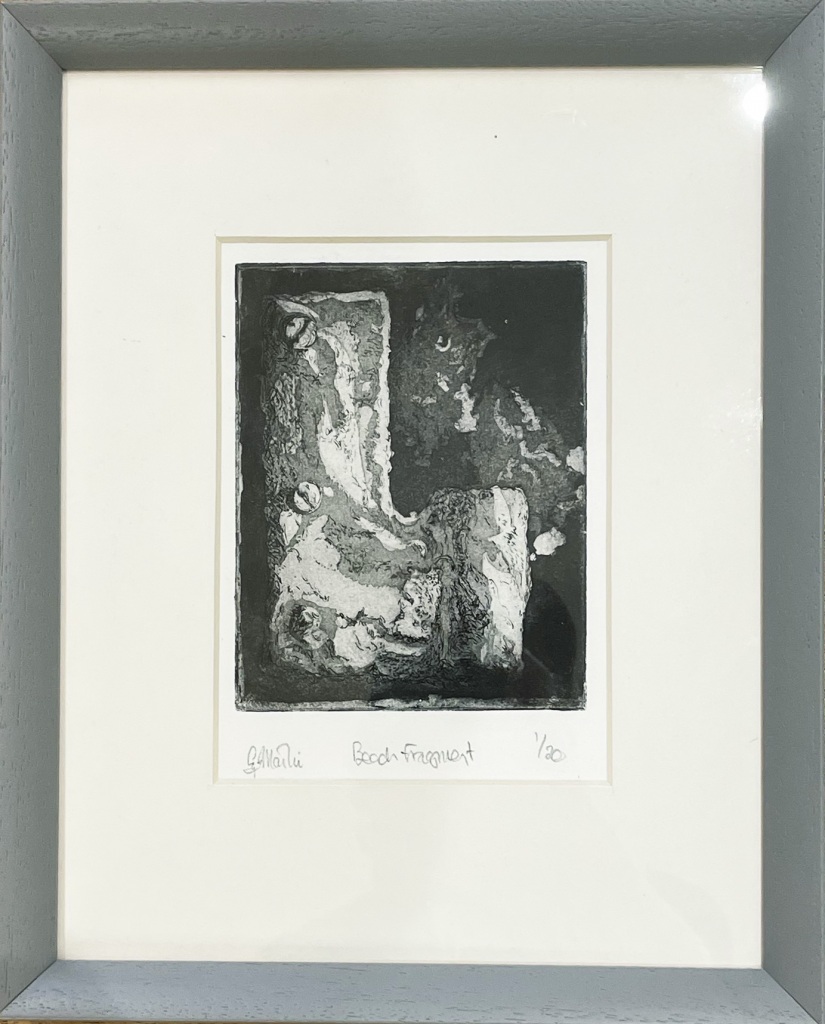 Gill-Martin-Beach-Fragments