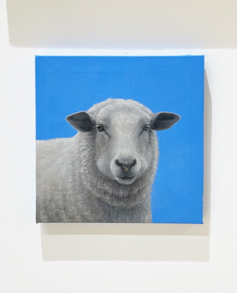 Hazel-Brightman-Sheep-
