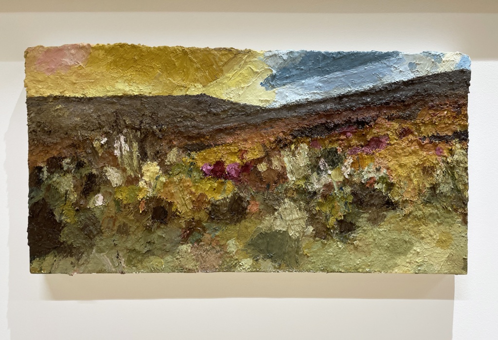 Ian-Grinham-Evening-North-York-moors-