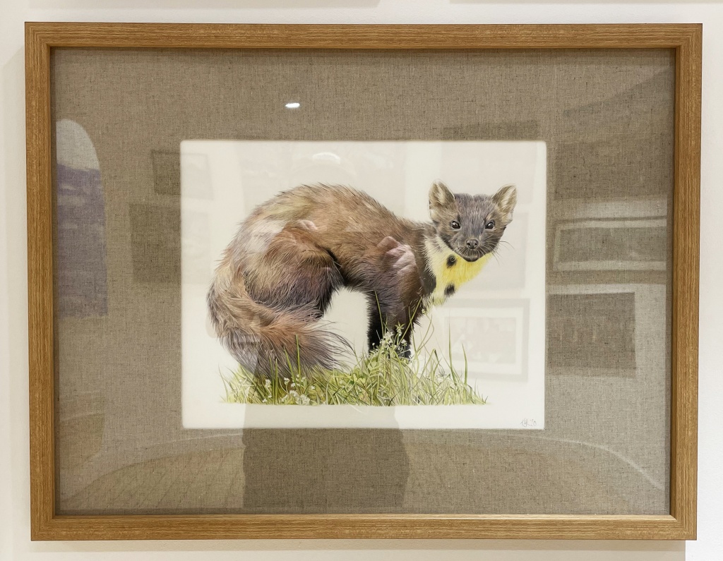 Kate-Hill-Lines-Pinemartin-