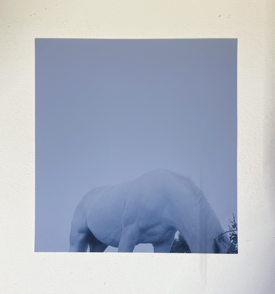 Leah-Carvell-listen-in-blue-