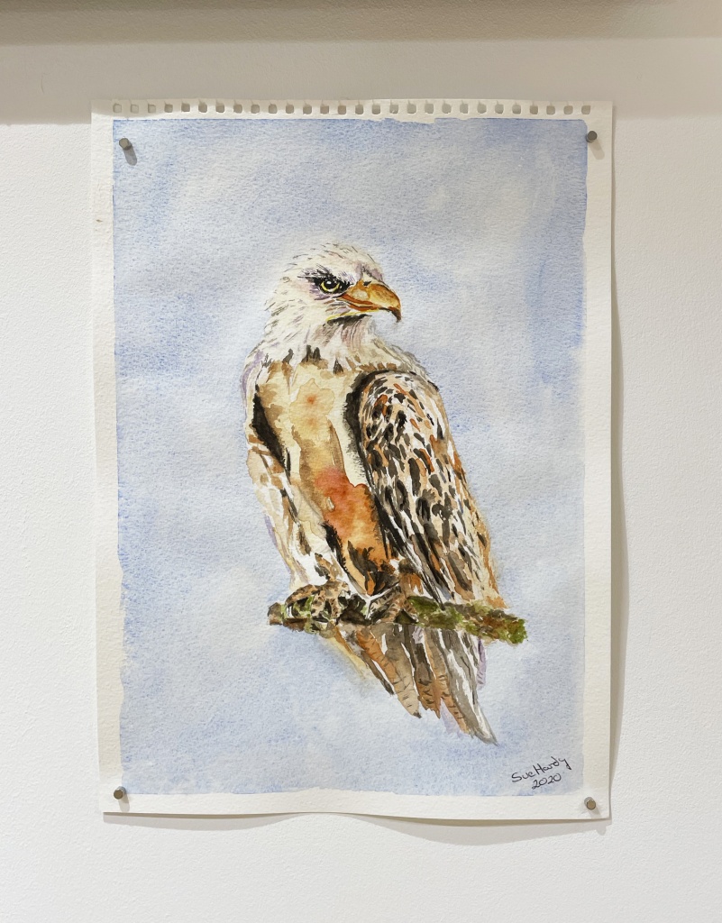 Sue-Hardy-Eagle-