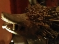 2014-04-06 16.23.29.jpg
